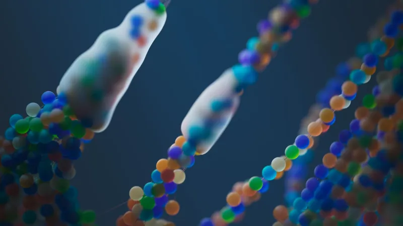 Same Numbers, Different Outcomes: How Your DNA Shapes the Way Testosterone Works Inside Your Body